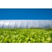 CoolMax 4 Year UV Open & UV Resistant 6 mil Clear Greenhouse Covering